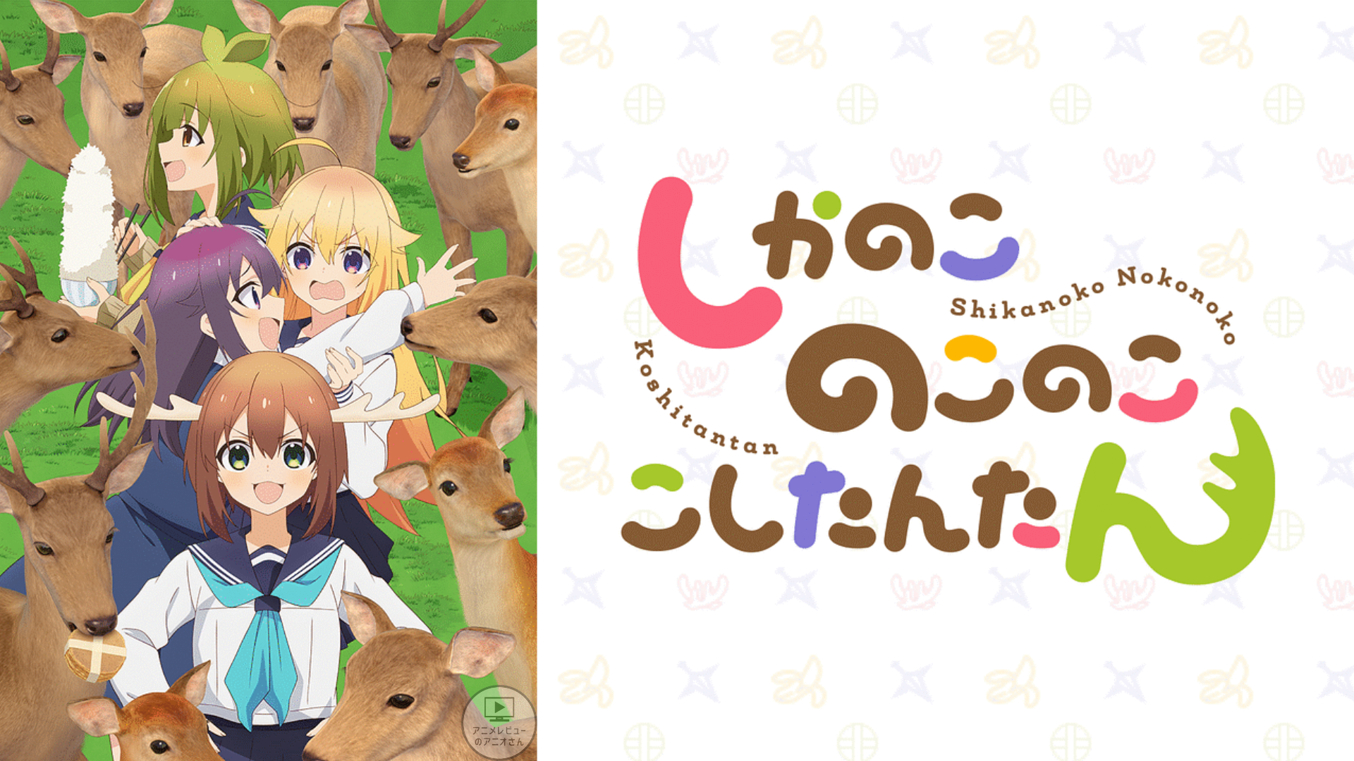 【これはヒドイ】｢しかのこのこのここしたんたん｣のアニメレビュー!つまらない？面白い？みんなの感想･評価･クチコミとアニオレビュー！【★☆☆☆☆】#しかのこのこのここしたんたん
